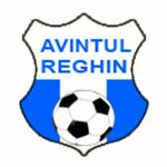 Avantul Reghin